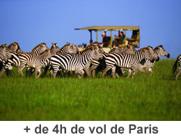 Séminaire incentive + 4h de vol  - Ysséo Event