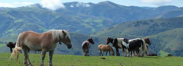 Séminaire incentive au Pays Basque-Ysséo Event (6, 