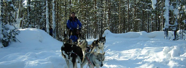 Team building chiens de traineau-Ysséo Event (6, 