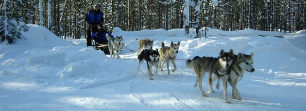 Voyage incentive en Laponie - Ysséo Event agence incentive (4, 