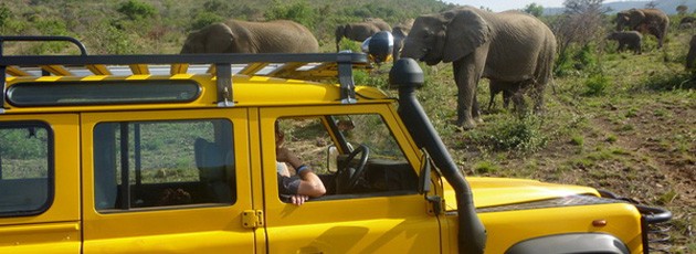 Voyage incentive clients Afrique du Sud - Ysséo Event agence incentive (6, 