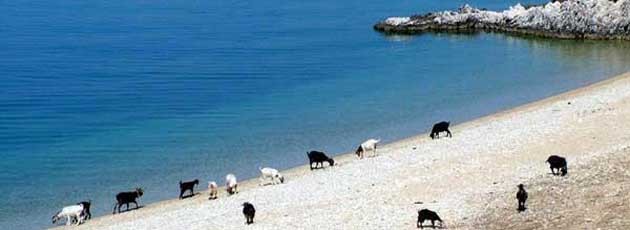 voyage incentive Grèce - Ysséo Event Agence Incentive (9, 