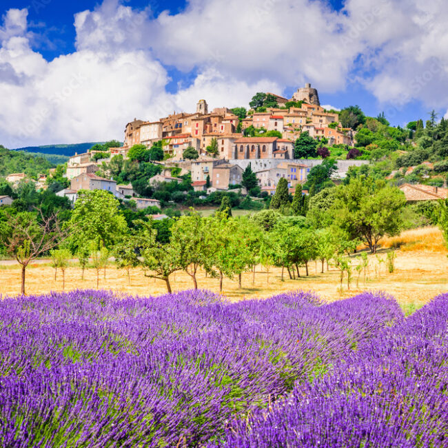 Seminaire Incentive dans les Alpilles