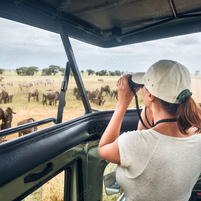 Voyage incentive en Afrique du Sud
