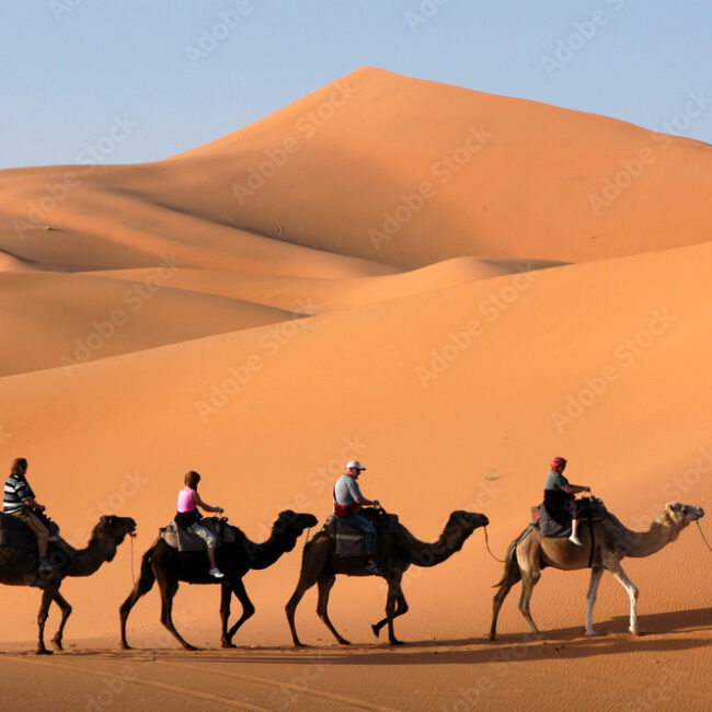 Séminaire incentive en Tunisie