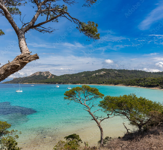 Séminaire clients à Porquerolles
