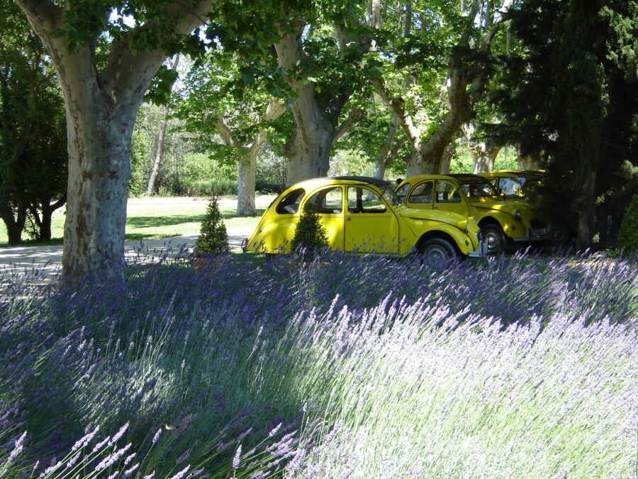 Rallye 2cv en Provence Agence évènementielle Ysseo