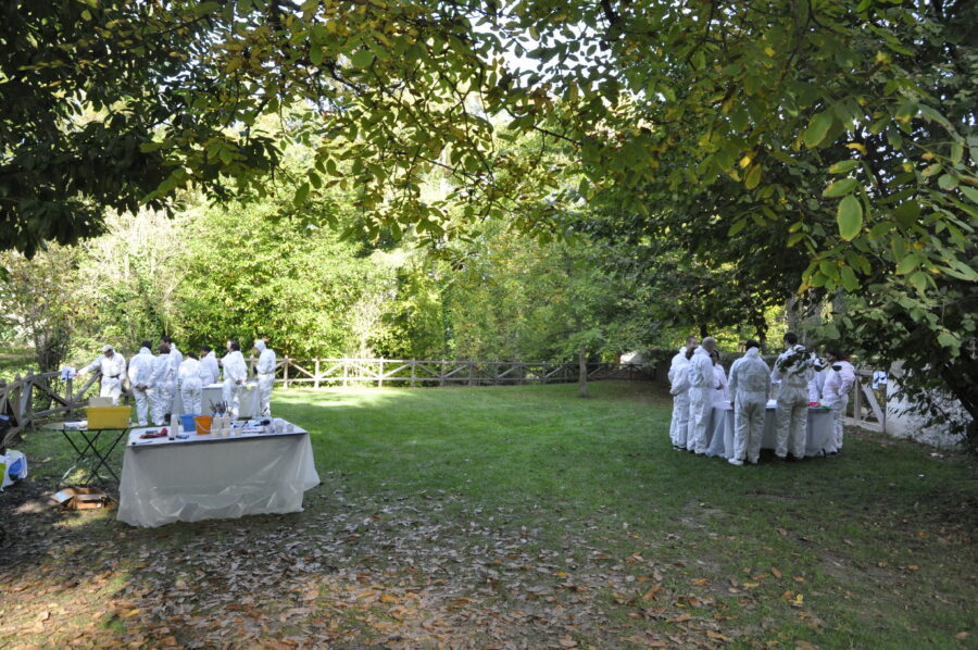 Agence évènementielle Ysseo Team Building Séminaires voyages d'affaires Château de La Loire